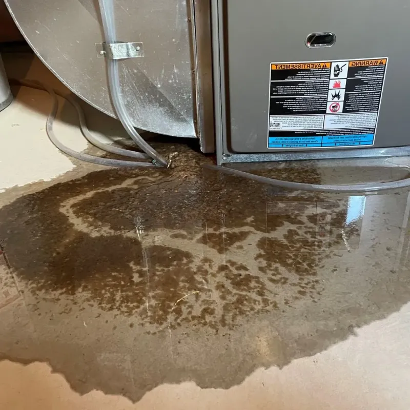 Pipe Burst and Leak Restoration in Loudoun County, VA